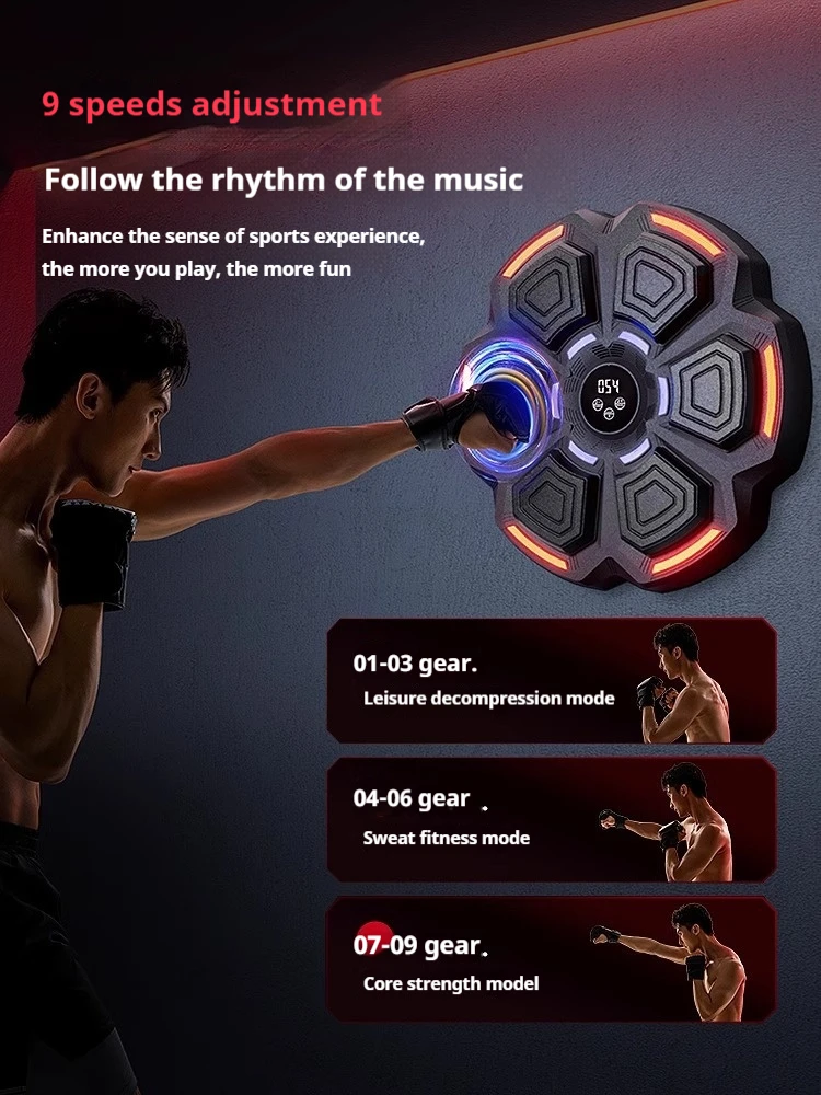 เป้าซ้อมมวยติดผนังปรับระดับควา - Home Gym Installation บทวิจารณ์และราคา